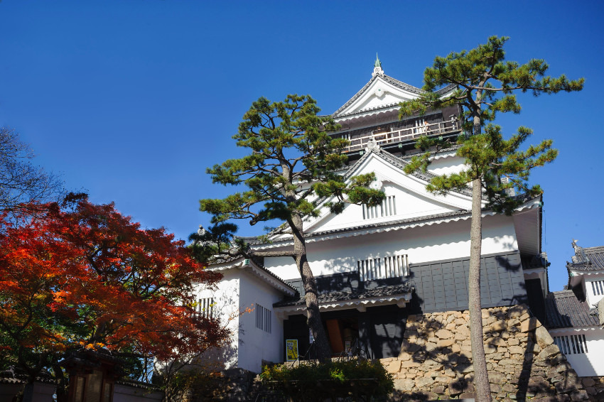 現在見られる岡崎城は、天文18（1590）年に田中吉政が整備した近世城郭が原型。2007年に材木町で石垣が発見され、江戸城、大阪城、姫路城に続く日本で4番目に広い城であったことが判明した（写真提供：岡崎市）