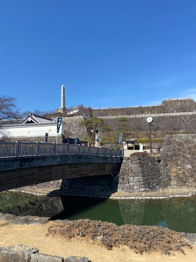 甲府城(遊亀橋から)