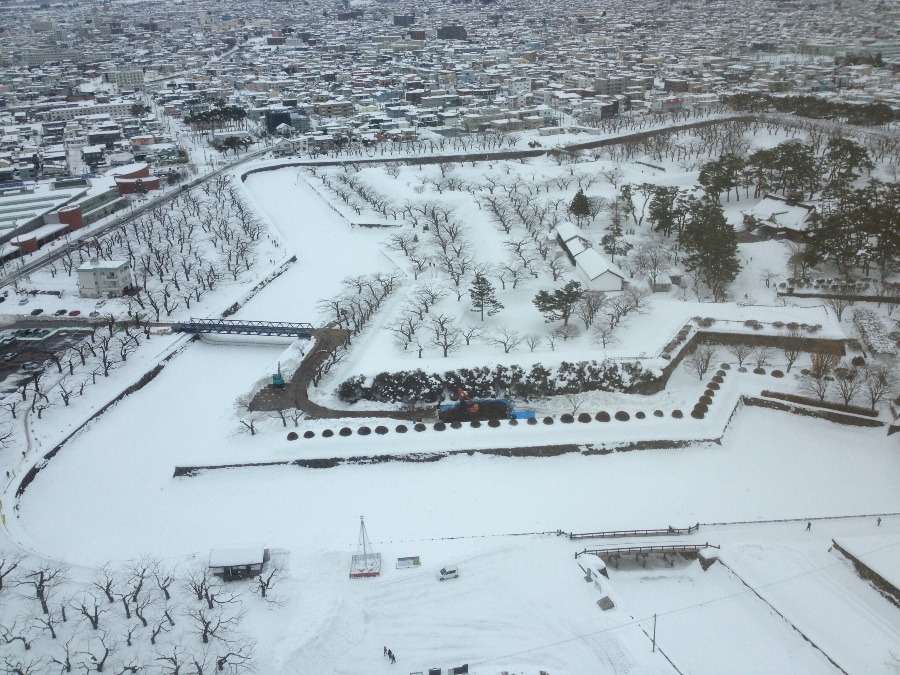 雪の五稜郭