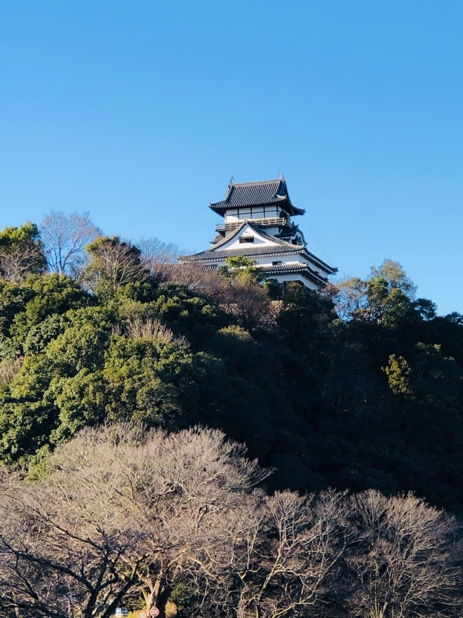 犬山城