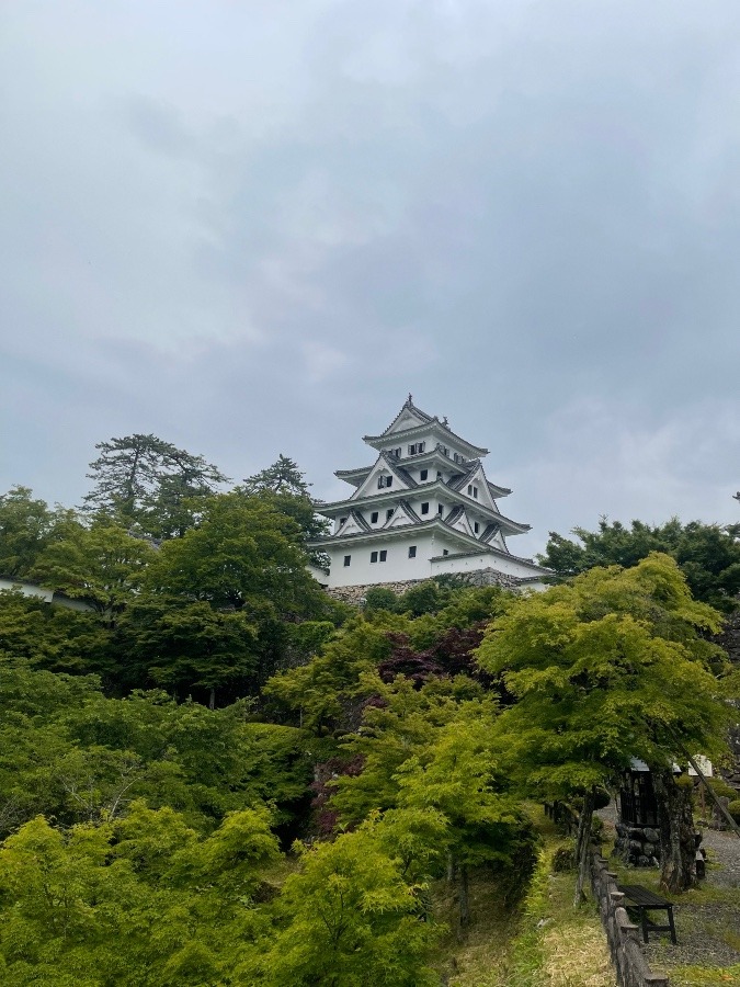 郡上八幡城