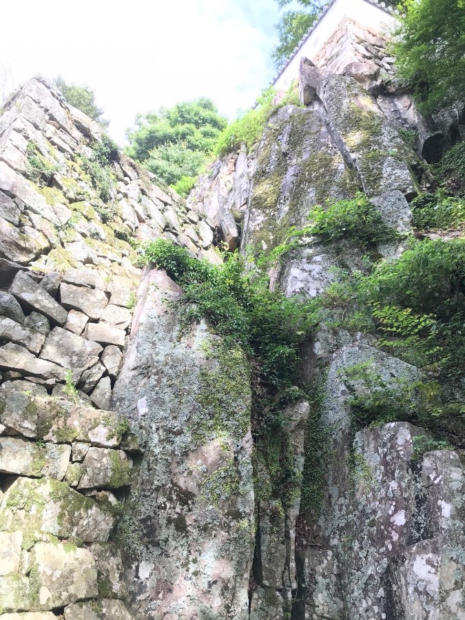 備中松山城の石垣