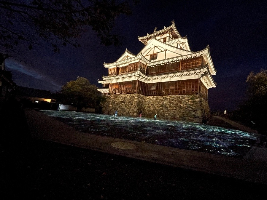 福知山城ライトアップ