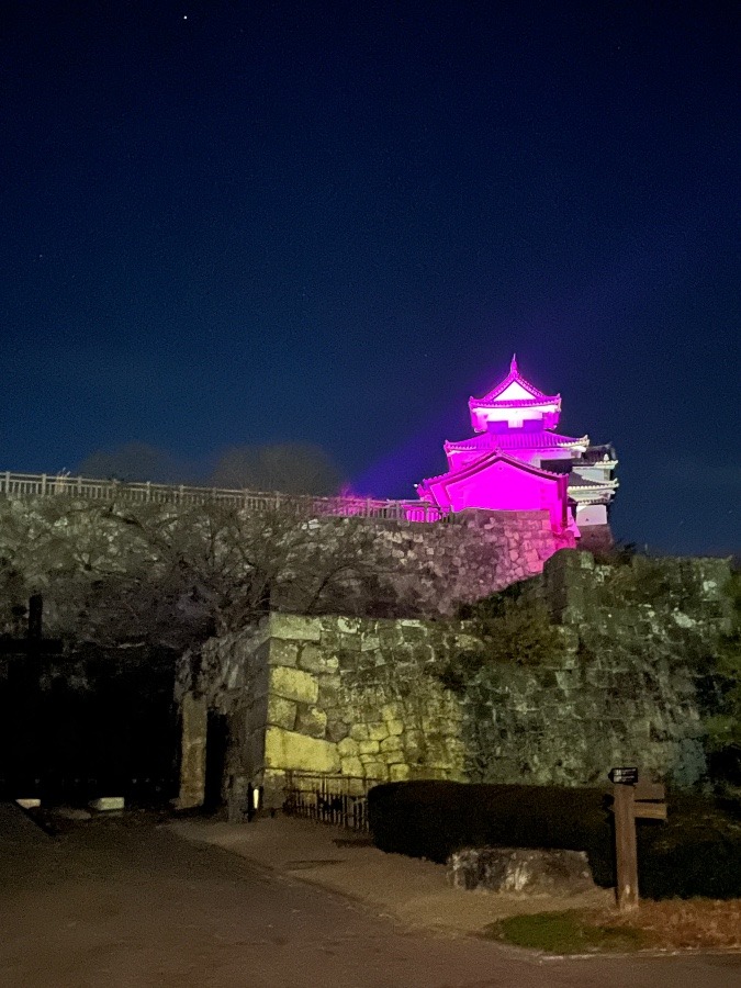 夜の白河小峰城