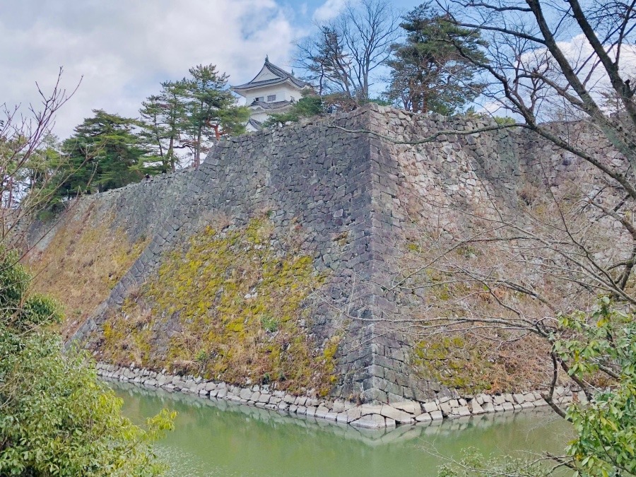 伊賀上野城 高石垣