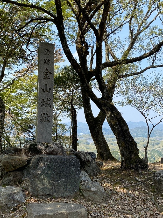 美濃金山城（跡）