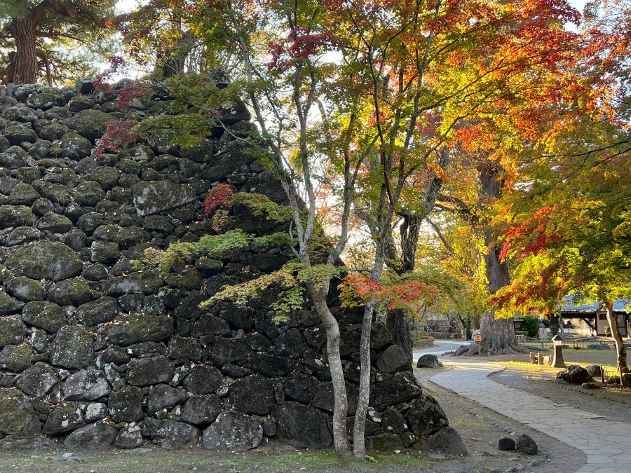 紅葉🍁の小諸城