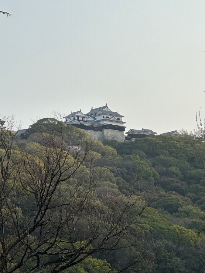 松山城