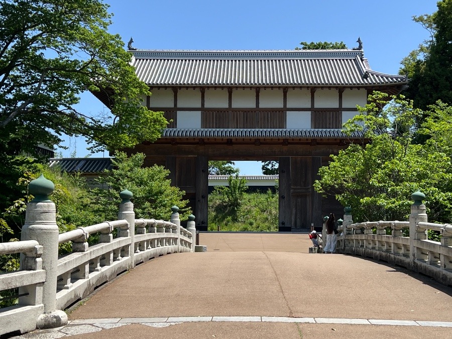 新緑の水戸城大手門