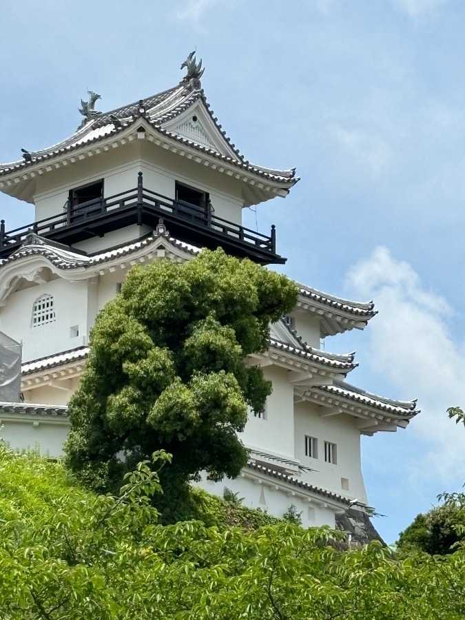 掛川城(2回目)