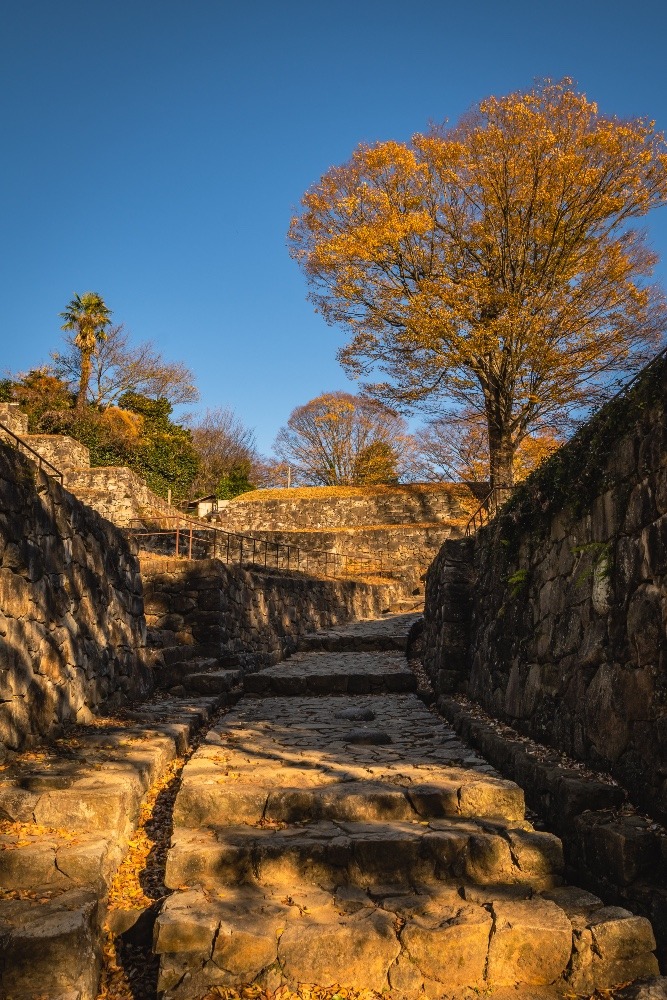 金山城