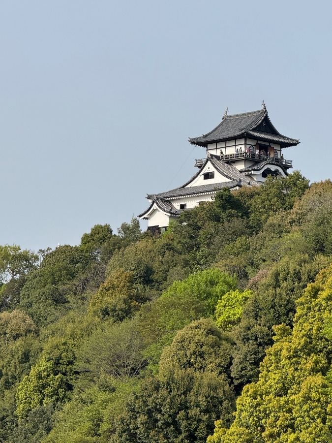 犬山城