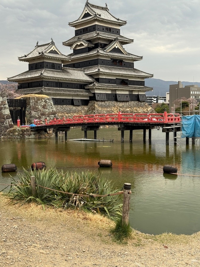 松本城