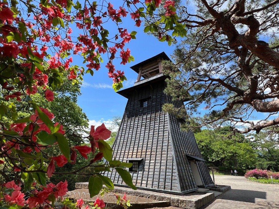 沼田城址　鐘桜