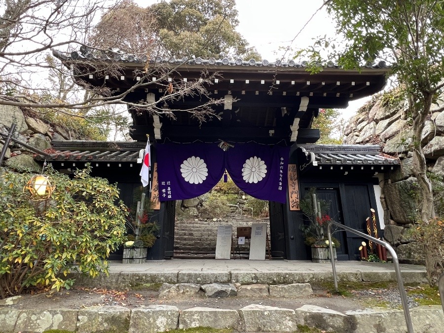 八幡山城　本丸虎口と石垣