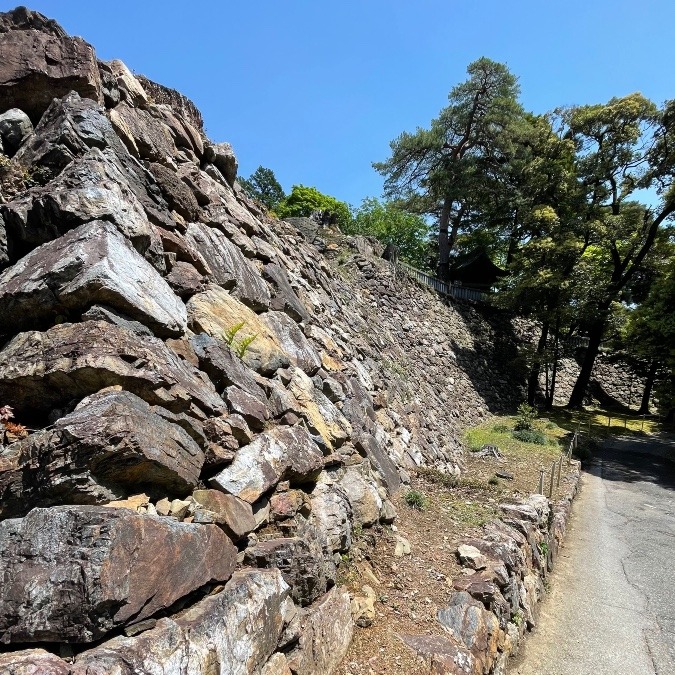 唐沢山城