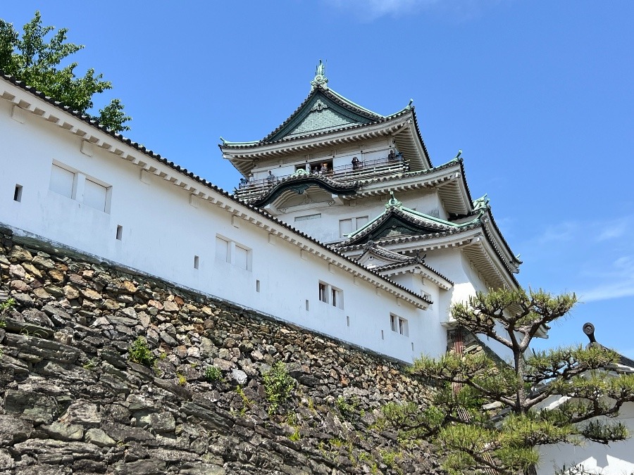 青天の和歌山城