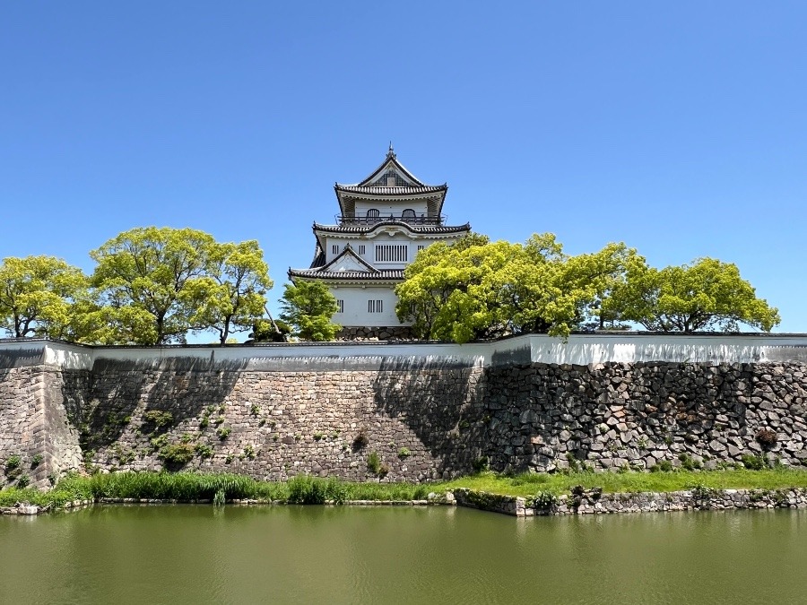 新緑の岸和田城
