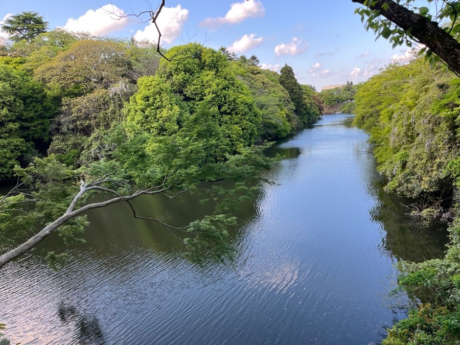 高岡古城跡