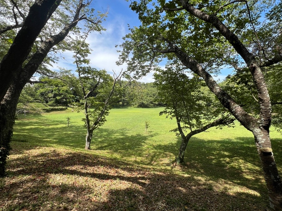佐倉城址公園　本丸跡
