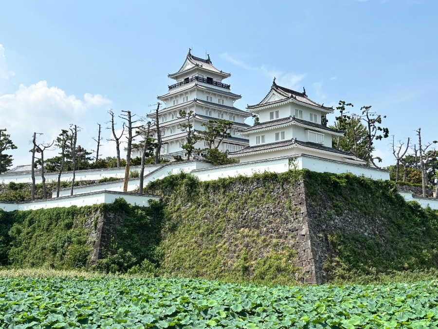 しまばらじょう