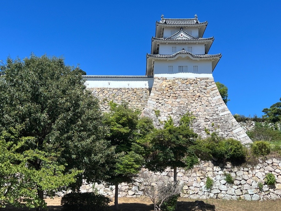 美しい石垣と巽櫓