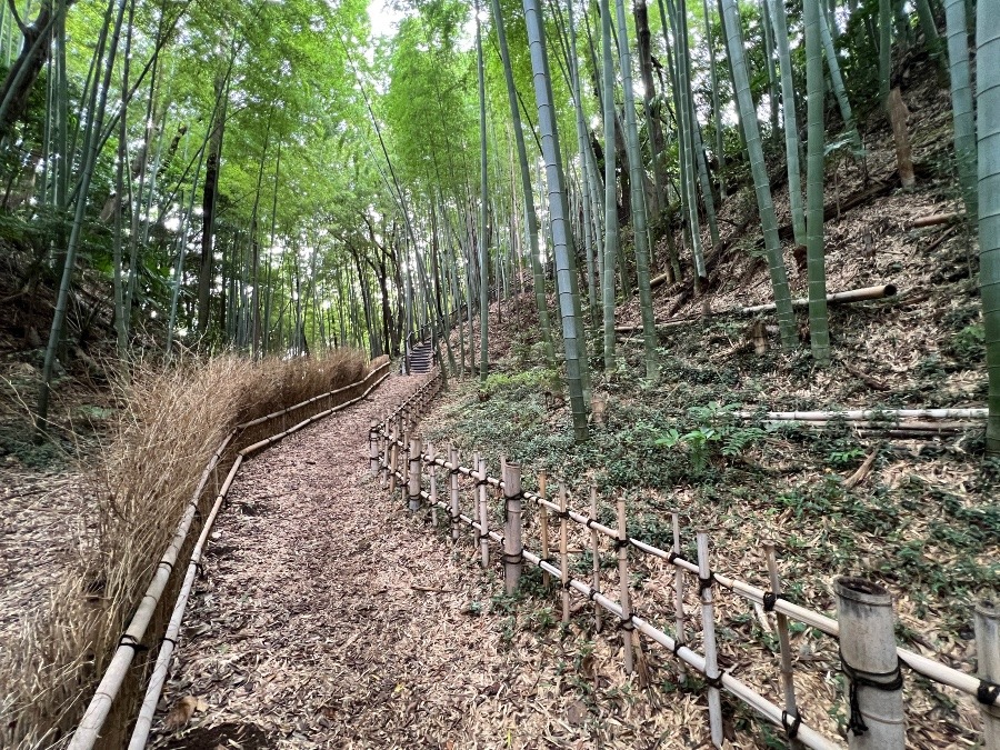 小机城址　空堀と土塁