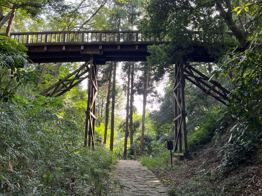 氏照の居城　滝山城