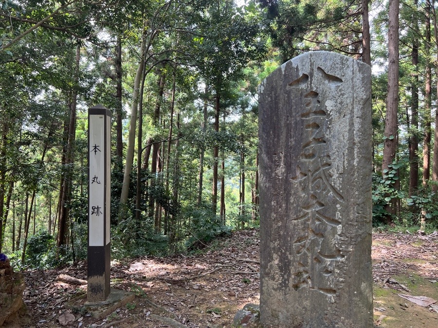 北条氏照の八王子城