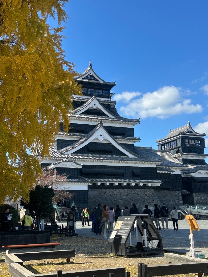 銀杏が黄色く紅葉した熊本城