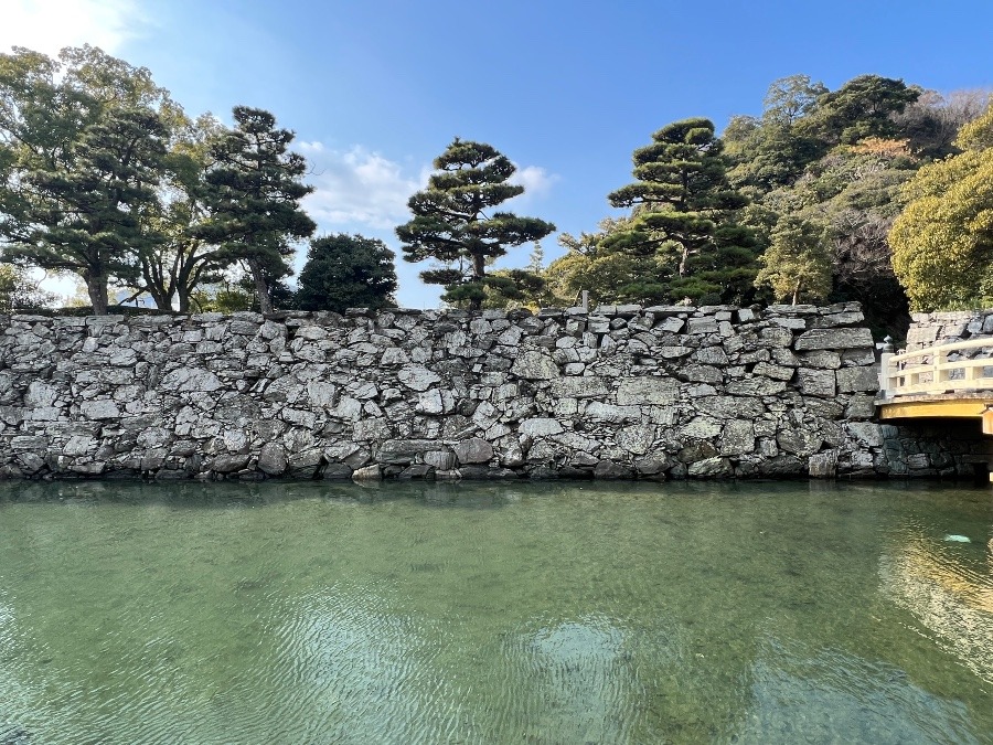 徳島城　ブルーグレーの石垣