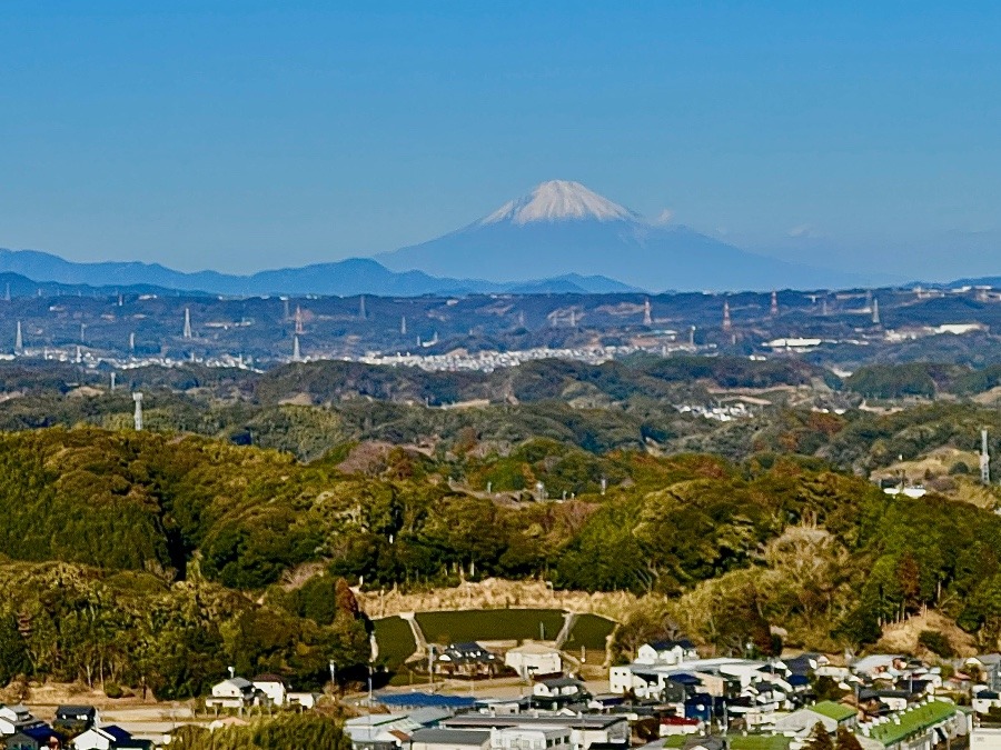 高天神城跡　難攻不落の城