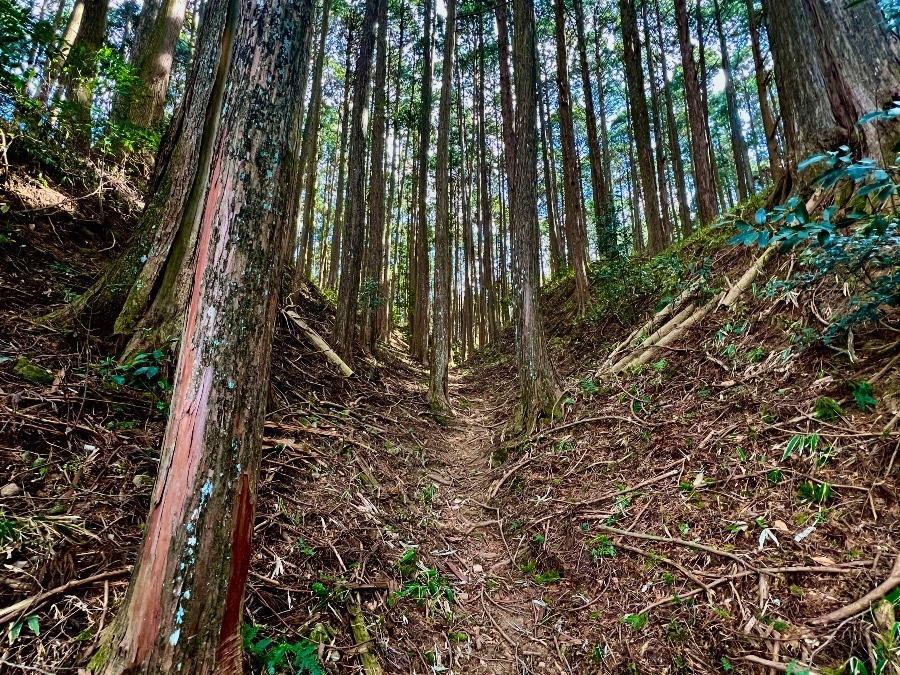 古宮城址の竪堀