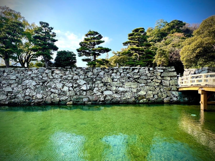 徳島城　ブルーグレーの石垣