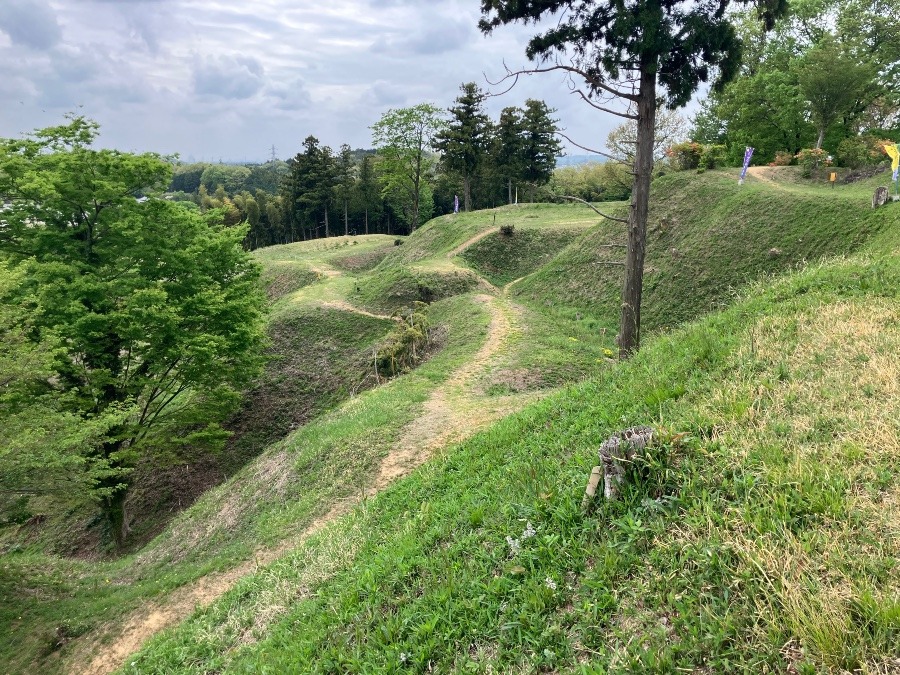 杉山城跡