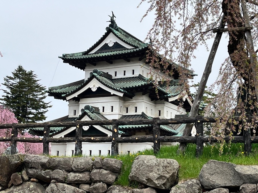 春の弘前城