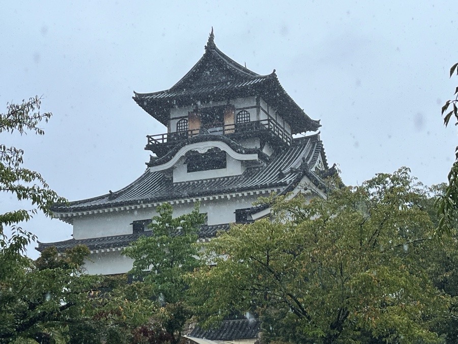 雨の犬山城