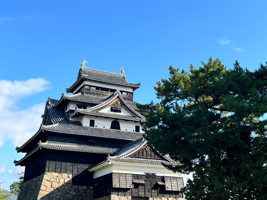 いい天気でした。