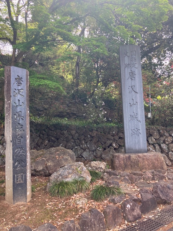 唐沢山城跡