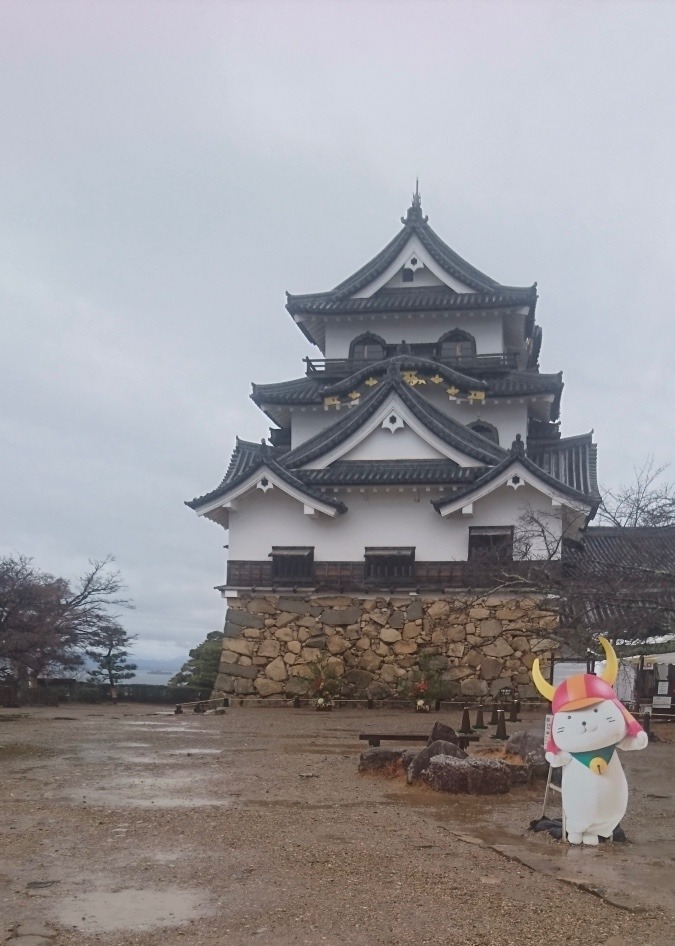 曇天の彦根城
