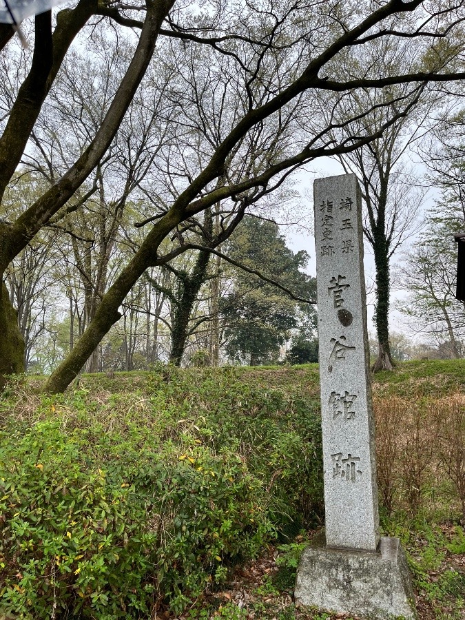 菅谷館