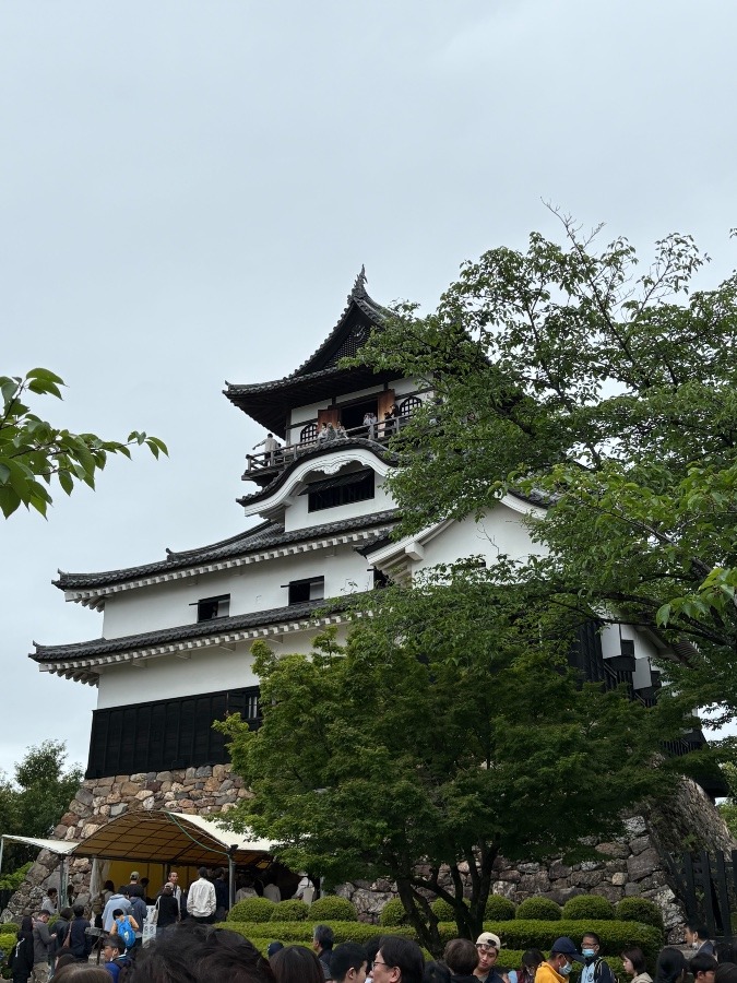 室町時代からある犬山城