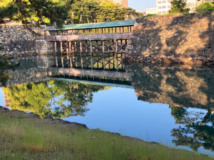鞘橋