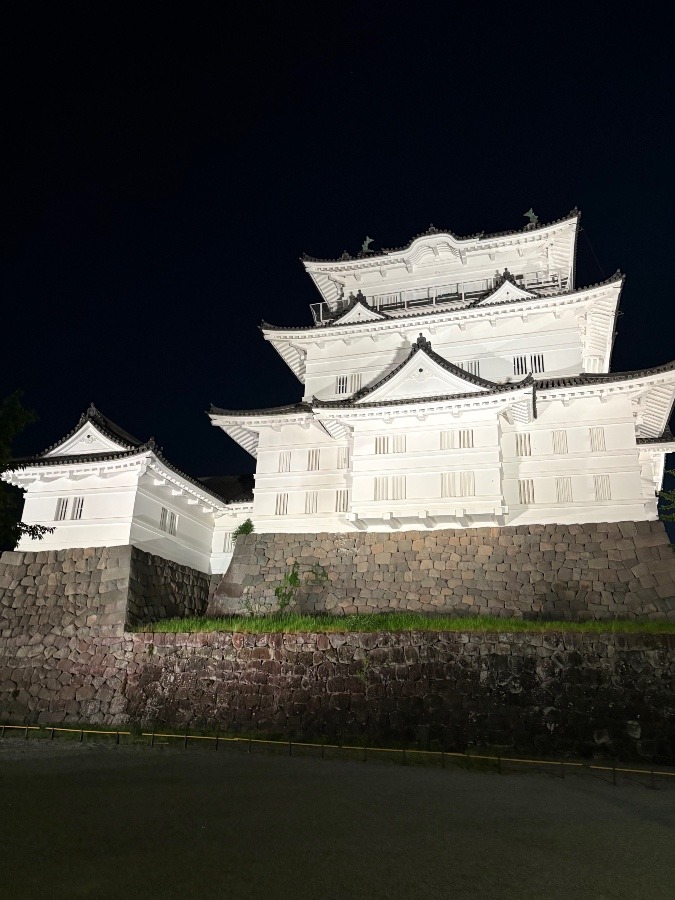 夜の小田原城