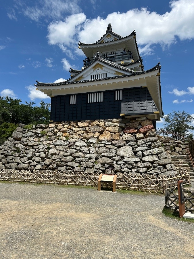 裏側からの浜松城