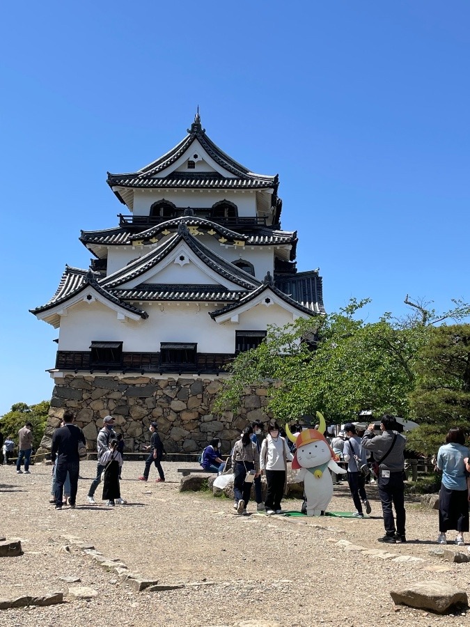 彦根ニャンのいる彦根城
