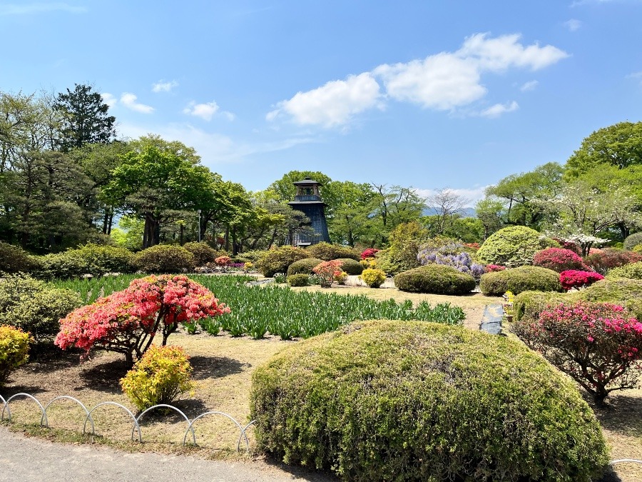 沼田城跡