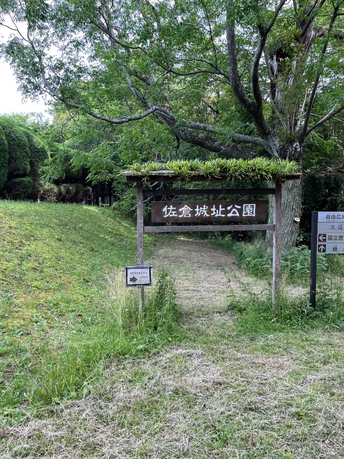 佐倉城址公園