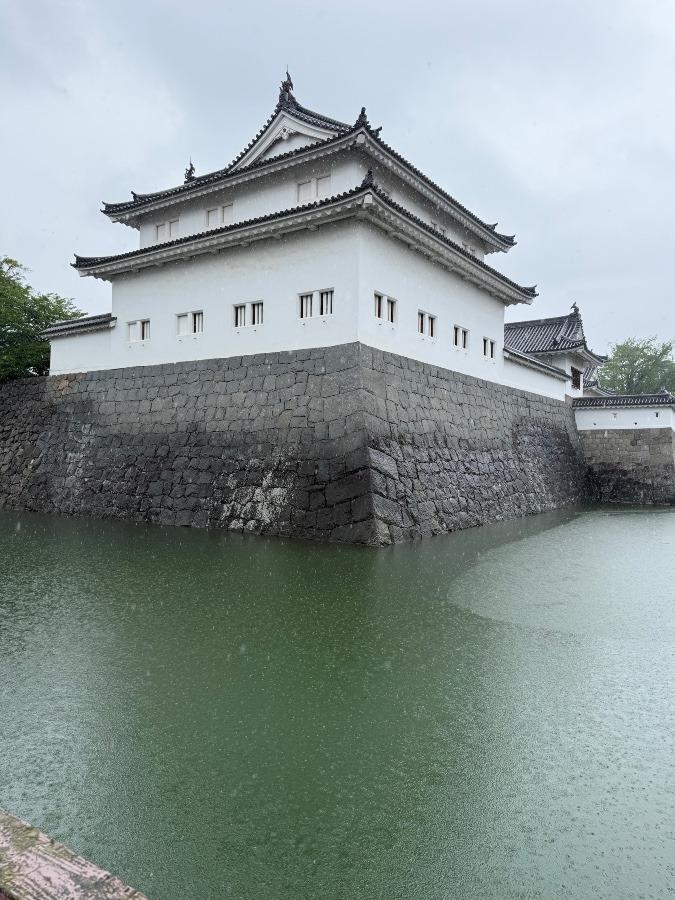 大御所の居城