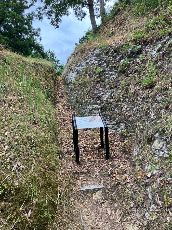 河後森城跡堀切